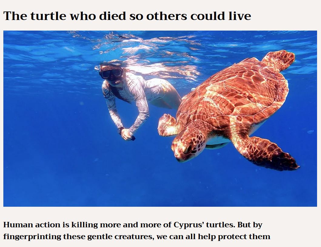 Stolz auf die Vorstellung unseres Projekts Xenios in der Cyprus Mail